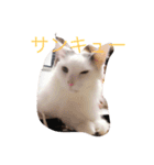 なな＆せいや（個別スタンプ：3）