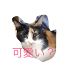 なな＆せいや（個別スタンプ：4）