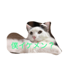 なな＆せいや（個別スタンプ：7）