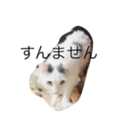 なな＆せいや（個別スタンプ：8）