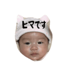 かきくけこーもり（個別スタンプ：3）