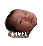 かきくけこーもり（個別スタンプ：31）