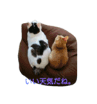 私のペットたち（個別スタンプ：12）