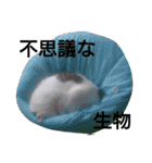 私のペットたち（個別スタンプ：18）