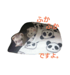 私のペットたち（個別スタンプ：26）