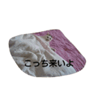 私のペットたち（個別スタンプ：30）