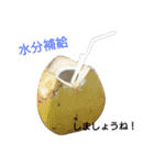 私のペットたち（個別スタンプ：37）