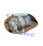 私のペットたち（個別スタンプ：38）
