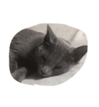 おはよぉ猫さん（個別スタンプ：2）