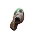 おはよぉ猫さん（個別スタンプ：6）