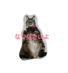 あーとひー（個別スタンプ：1）