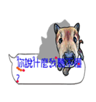 Mind dialog box（個別スタンプ：23）