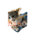 猫のミルク（個別スタンプ：13）