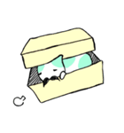 ひげ 猫（個別スタンプ：3）