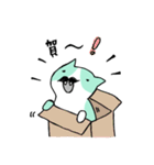 ひげ 猫（個別スタンプ：31）