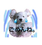 愛犬れもん（個別スタンプ：14）