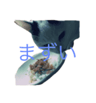 にゃんズ（個別スタンプ：4）