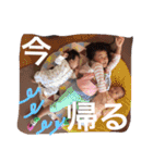 うちのめんこちゃんズver.2（個別スタンプ：16）