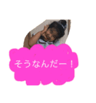 ゆづゆうスタンプ（個別スタンプ：20）