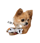 ここちゃん→（個別スタンプ：2）