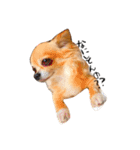 ここちゃん→（個別スタンプ：9）