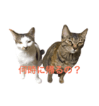 ふくとゆき vol.1（個別スタンプ：2）