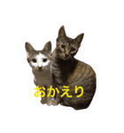 ふくとゆき vol.1（個別スタンプ：4）