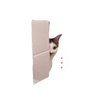 ふくとゆき vol.1（個別スタンプ：8）