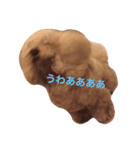 あんずう（個別スタンプ：4）