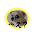 LOVE Woo（個別スタンプ：1）