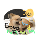 LOVE Woo（個別スタンプ：4）