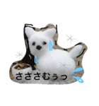 LOVE Woo（個別スタンプ：5）