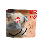 LOVE Woo（個別スタンプ：9）