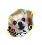 LOVE Woo（個別スタンプ：10）