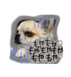 LOVE Woo（個別スタンプ：11）
