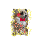 LOVE Woo（個別スタンプ：12）