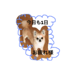 LOVE Woo（個別スタンプ：13）