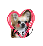 LOVE Woo（個別スタンプ：14）