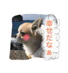 LOVE Woo（個別スタンプ：15）