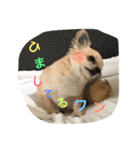 LOVE Woo（個別スタンプ：16）