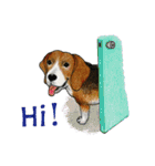 Darling Beagle（個別スタンプ：1）