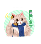 CATSYMPHONICA（個別スタンプ：10）