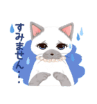 CATSYMPHONICA（個別スタンプ：12）