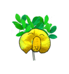 Crazy Pinto Peanut（個別スタンプ：4）