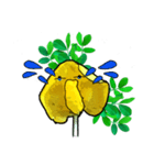 Crazy Pinto Peanut（個別スタンプ：8）