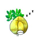 Crazy Pinto Peanut（個別スタンプ：10）