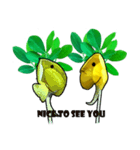 Crazy Pinto Peanut（個別スタンプ：14）