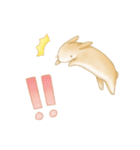 うさぎと女の子のゆるふわ日常スタンプ（個別スタンプ：5）