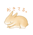 うさぎと女の子のゆるふわ日常スタンプ（個別スタンプ：13）