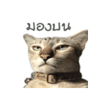 Mhuham（個別スタンプ：6）